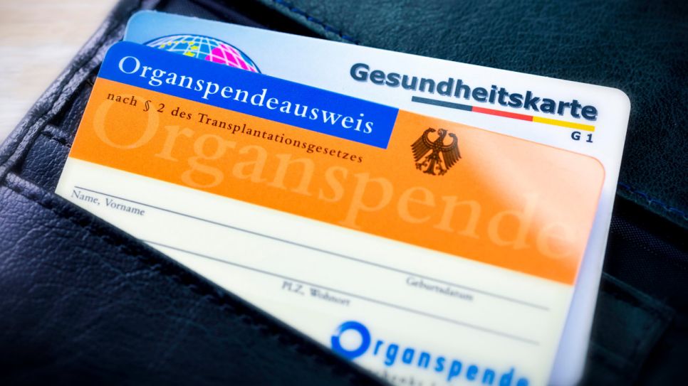 Organspendeausweis in einem Portemonnaie