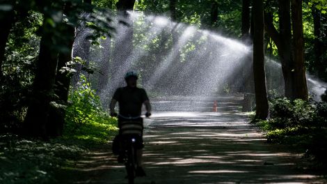 Ein Fahrradfahrer ist im Tiergarten Berlin vor dem Wasserstrahl einer Bewässerungsanlage unterwegs. © picture alliance/dpa | Fabian Sommer