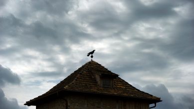 Krabat – Eine Krähen-Imitation zeichnet sich auf dem Dach der Krabatmühle im sächsischen Schwarzkollm vor stimmungsvollen Himmel ab © picture alliance/ ZB/ Arno Burgi