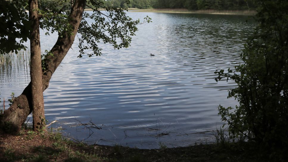 Blick auf den Großen Wukensee in der brandenburgischen Gemeinde Biesenthal; © picture alliance/dpa-Zentralbild/Peter Zimmermann