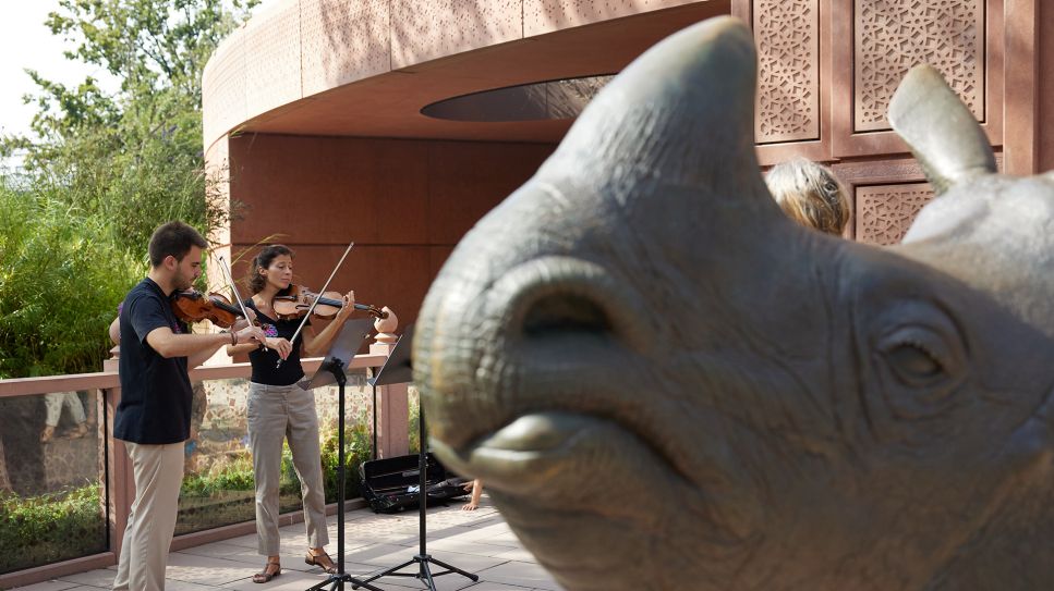 Ein Violinduo des Kammermusikensembles des Deutschen Symphonie-Orchesters (DSO) musiziert im Rahmen der Aktion „DSO im Zoo“ vor der Nashorn-Pagode. © dpa/Jörg Carstensen 