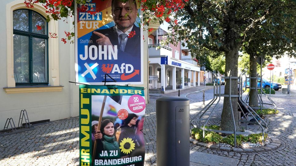 Wahlplakate der AfD und der Grünen zur Landtagwahl in Brandenburg. Bernau bei Berlin © picture alliance / Thomas Bartilla/ Geisler-Fotopress