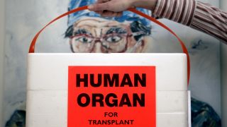 Organtransplantation © Frank May/picture alliance/dpa