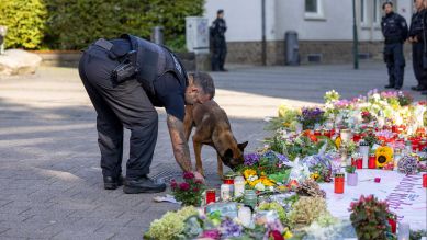 Ein Spürhund der Polizei kontrolliert vor dem Besuch des Bundeskanzlers Scholz einen Gullideckel und die zum Gedenken der Opfer abgelegten Blumen. © picture alliance/dpa/Thomas Banneyer