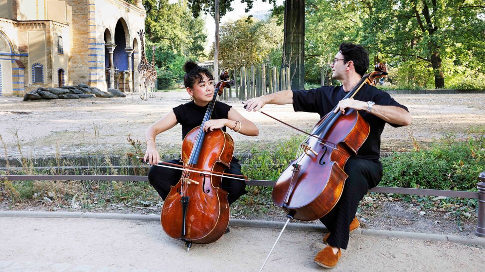 DSO im Zoo – zwei Cellist:innen spielen am Giraffenhaus im Berliner Zoo © Kathleen-Pracht