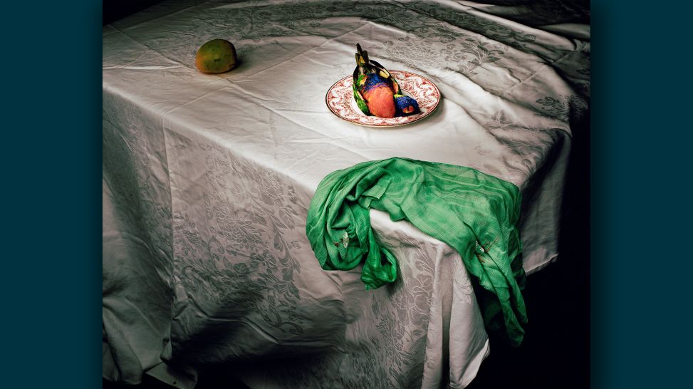 Marian Drew, aus "Australiana Still Life", 2003-2011, Objekt, 100 × 125 cm; © M. Drew | Onespace Gallery Brisbane