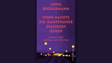 Anna Brueggemann: Wenn Nachts die Kampfhunde spazieren gehen © ullstein