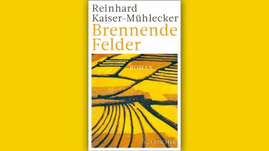 Reinhard Kaiser-Mühlecker: Brennende Felder © S. Fischer