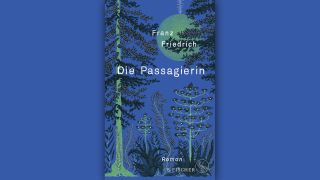 Franz Friedrich: Die Passagierin © S. Fischer