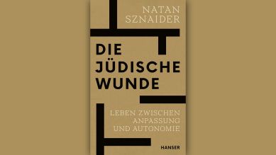 Natan Sznaider: Die jüdische Wunde © Hanser Verlag