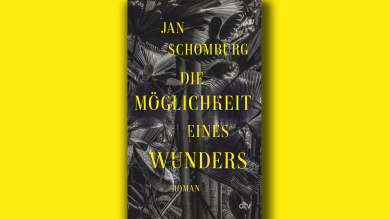 Jan Schomburg: Die Möglichkeit eines Wunders; © dtv