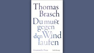 Thomas Brasch: Du mußt gegen den Wind laufen © Suhrkamp