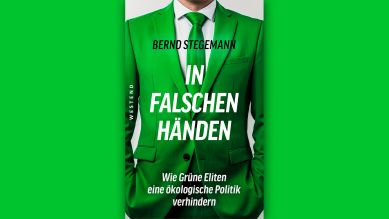 Bernd Stegemann: In falschen Händen © Westend Verlag