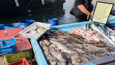 Fischmarkt in Marseille; © Elisabetta Gaddoni